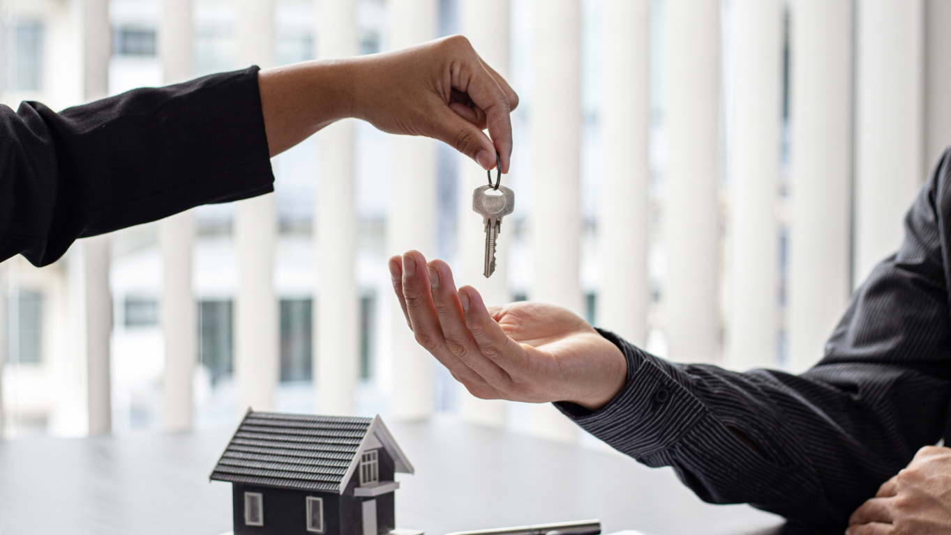 Los secretos para incrementar el valor de tu terreno y atraer a los compradores adecuados