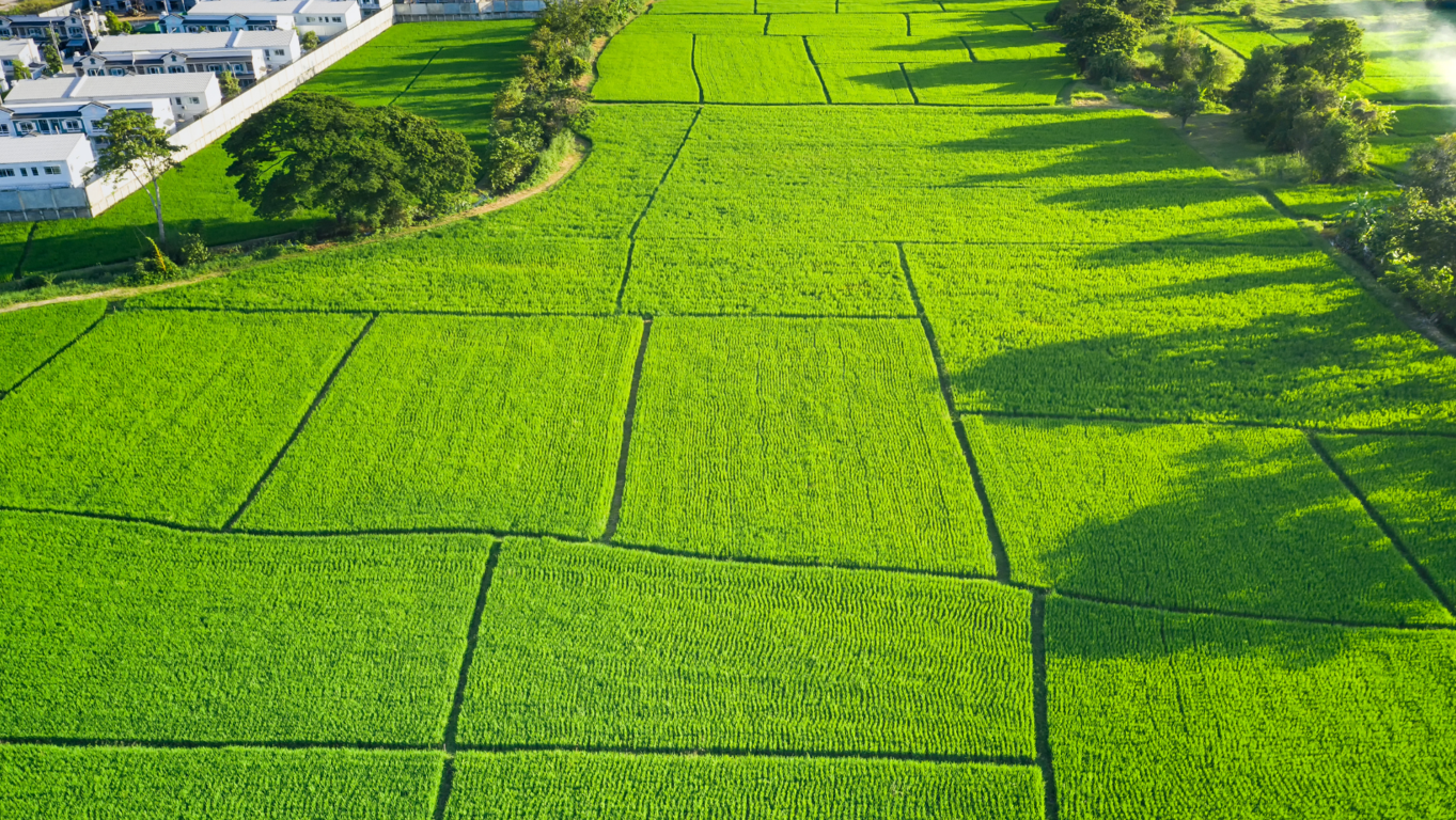 Rentar terrenos: consejos para mantener a tus inquilinos felices y satisfechos