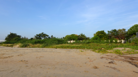 Descubre por qu� la ubicaci�n es clave al rentar un terreno