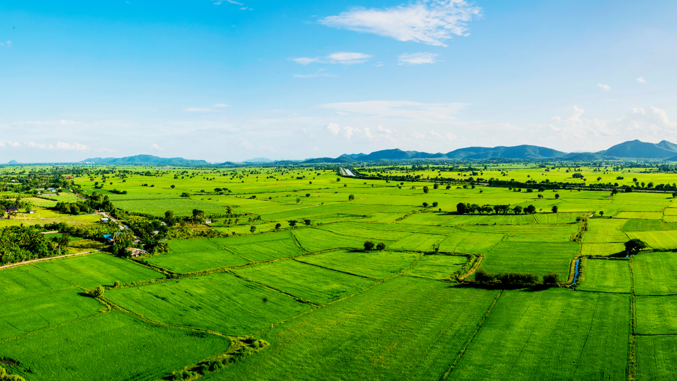 �Vende tu terreno r�pidamente y con �xito con estrategias de marketing avanzadas y probadas que generen inter�s y concreten la venta! 