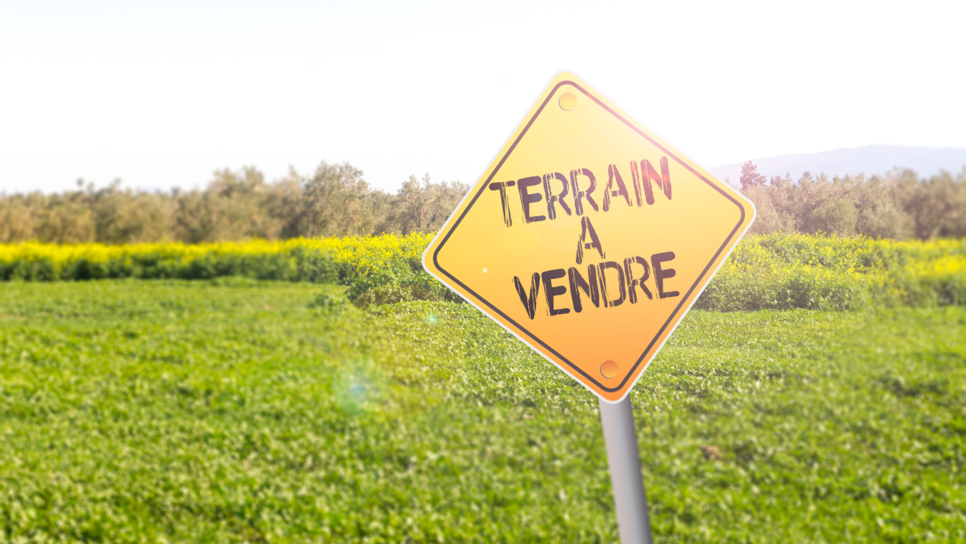 Destaca la ubicaci�n �nica de tu terreno para atraer a compradores interesados y potenciales