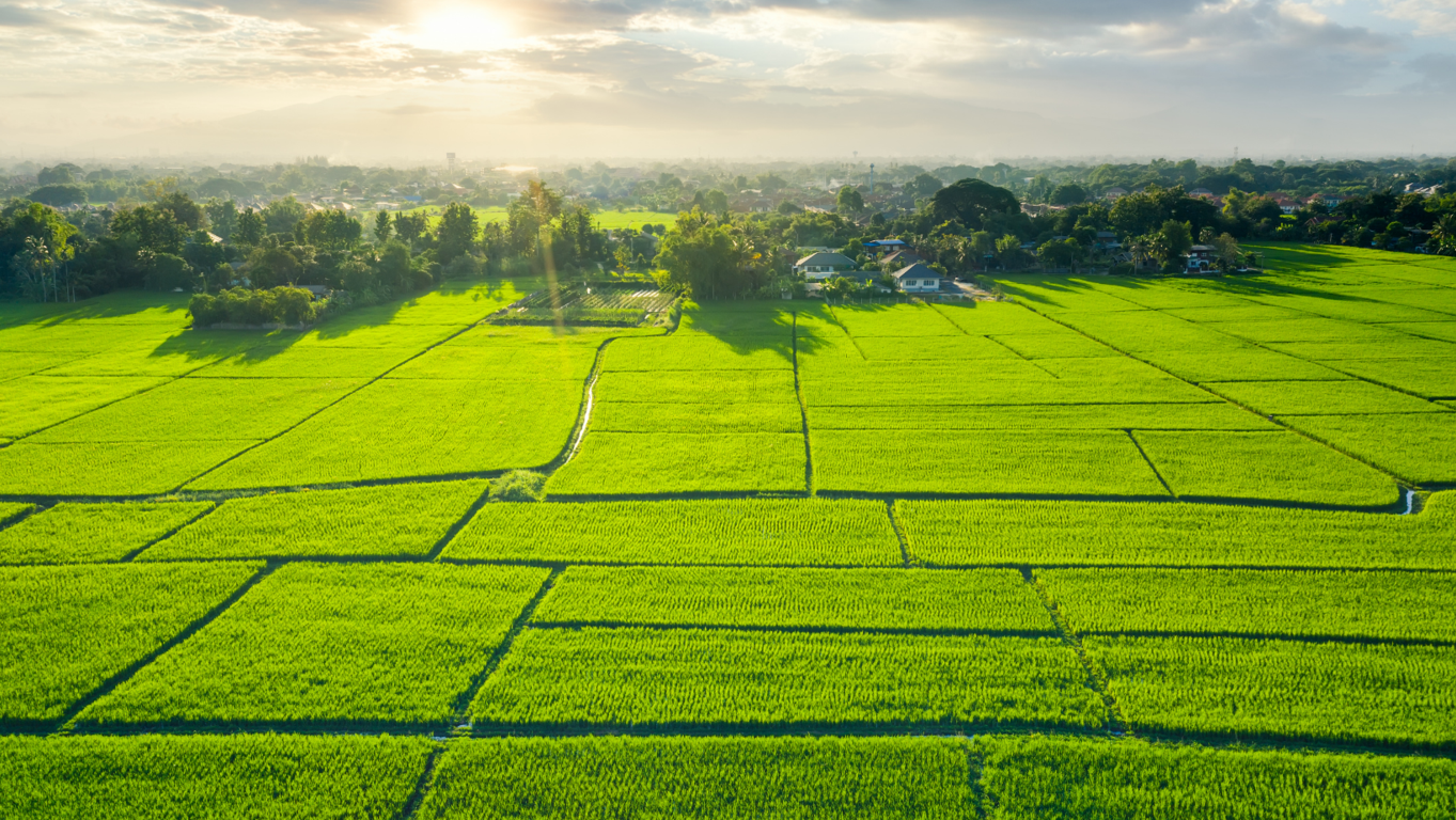 Los beneficios de invertir en la promoci�n de venta de terrenos para asegurar una transacci�n efectiva y satisfactoria tanto para compradores como vendedores 