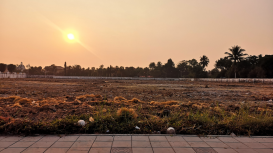 Promociona la venta de tu terreno: atrae a potenciales compradores con �xito