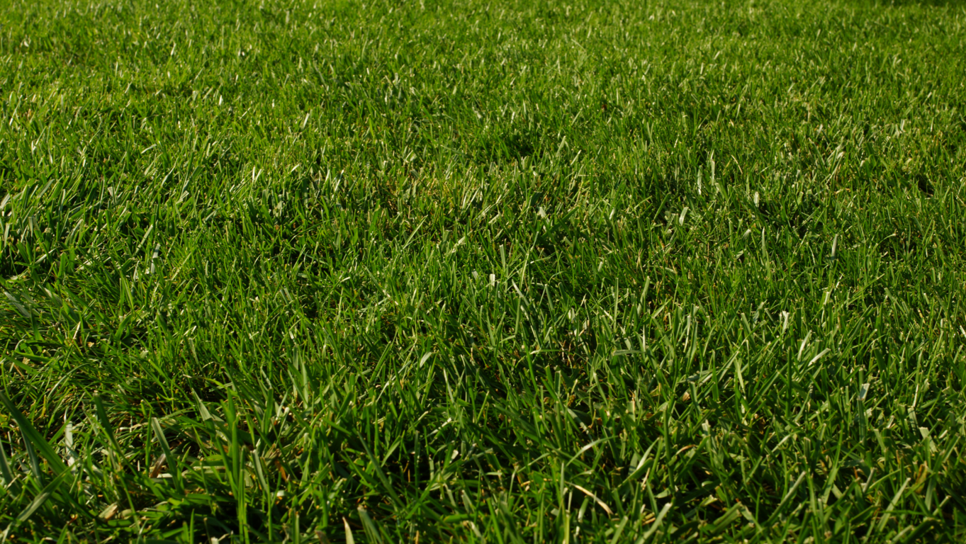 C�mo un Agente Inmobiliario Puede Potenciar la Visibilidad y Reconocimiento de tu Marca Personal en la Promoci�n de tu Casa de Forma Eficaz