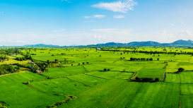 �Vende tu terreno r�pidamente y con �xito con estrategias de marketing avanzadas y probadas que generen inter�s y concreten la venta! 