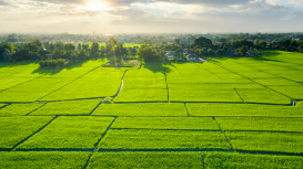 Consejos para atraer a inquilinos de calidad a tu terreno