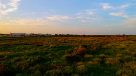 �Genera ingresos pasivos con la renta de tu terreno de forma sencilla!