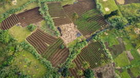 Consejos para crear anuncios irresistibles de tu terreno en el mercado