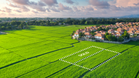 �No pierdas la oportunidad de vender tu terreno con �xito!