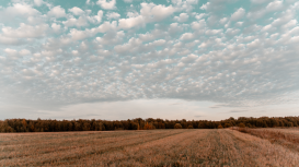 Descubre por qu� es importante tener un seguro para terrenos al rentar