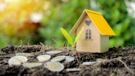 Consejos para presentar tu terreno de manera atractiva a los compradores